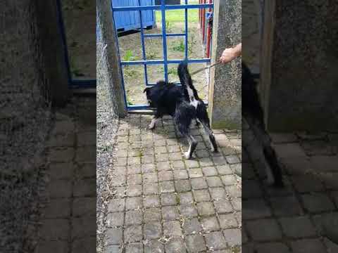 YouTube-Video-Thumbnail