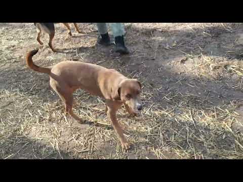 YouTube-Video-Thumbnail