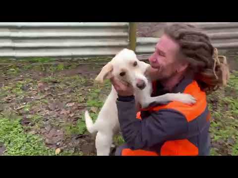 YouTube-Video-Thumbnail