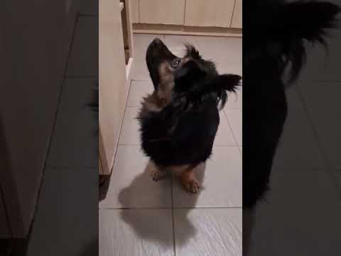 YouTube-Video-Thumbnail