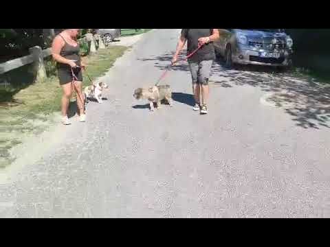 YouTube-Video-Thumbnail