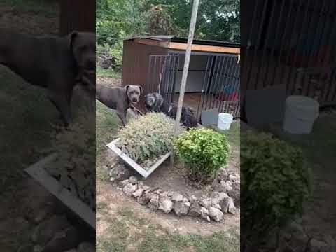 YouTube-Video-Thumbnail