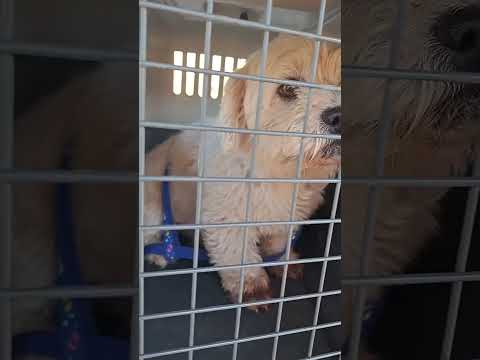 YouTube-Video-Thumbnail