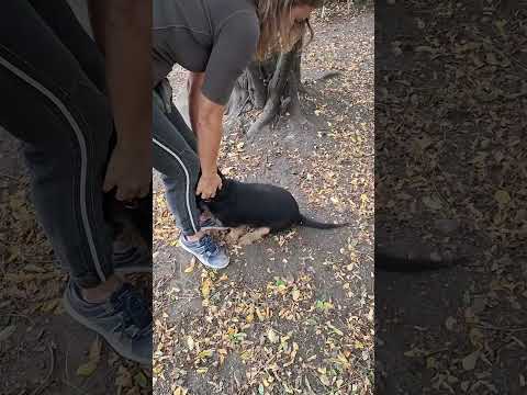 YouTube-Video-Thumbnail