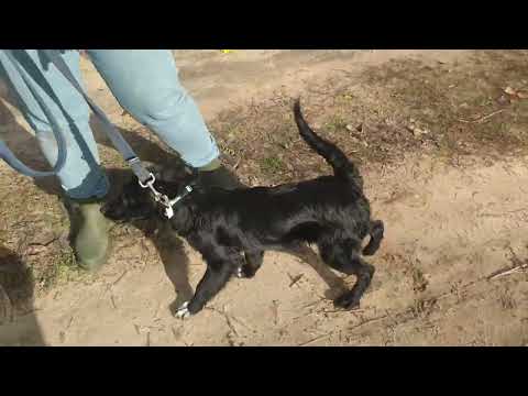 YouTube-Video-Thumbnail