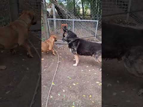 YouTube-Video-Thumbnail