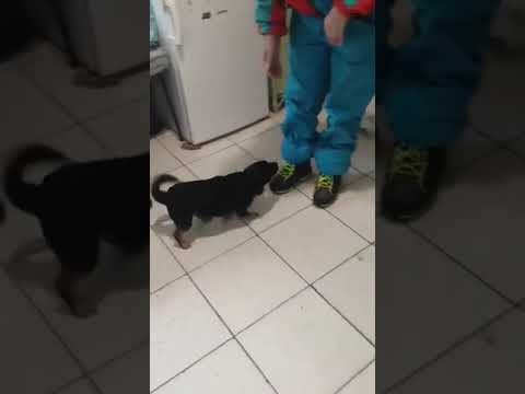 YouTube-Video-Thumbnail