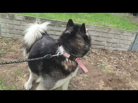 YouTube-Video-Thumbnail