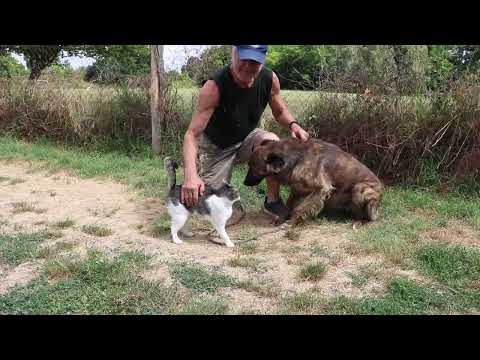 YouTube-Video-Thumbnail