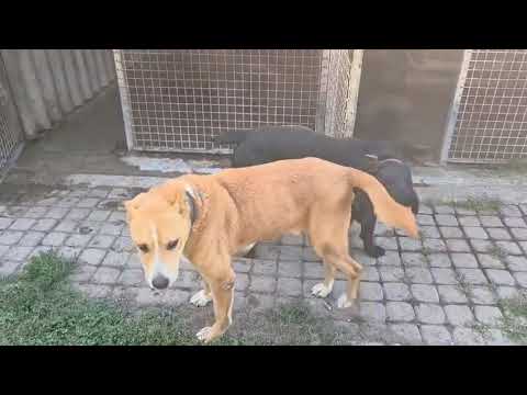 YouTube-Video-Thumbnail