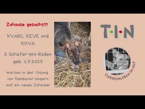 YouTube-Video-Thumbnail