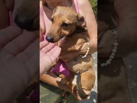 YouTube-Video-Thumbnail