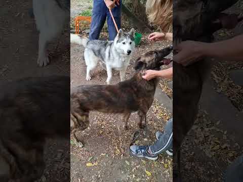 YouTube-Video-Thumbnail