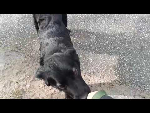 YouTube-Video-Thumbnail