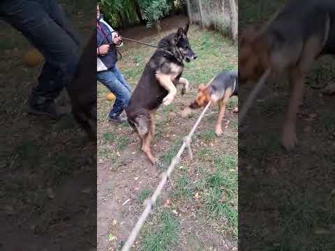 YouTube-Video-Thumbnail