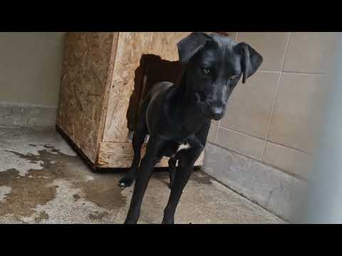 YouTube-Video-Thumbnail