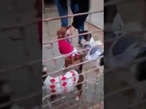 YouTube-Video-Thumbnail