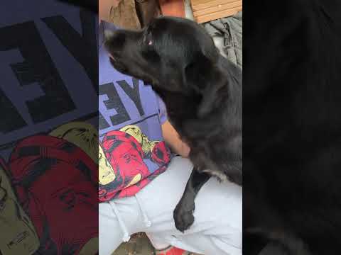 YouTube-Video-Thumbnail