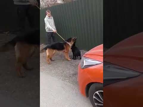 YouTube-Video-Thumbnail