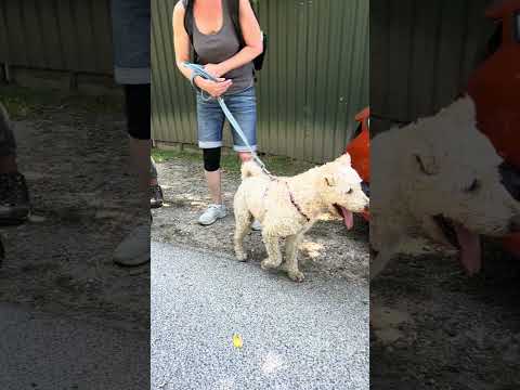 YouTube-Video-Thumbnail