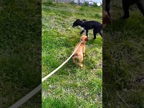 YouTube-Video-Thumbnail