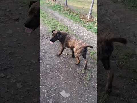 YouTube-Video-Thumbnail