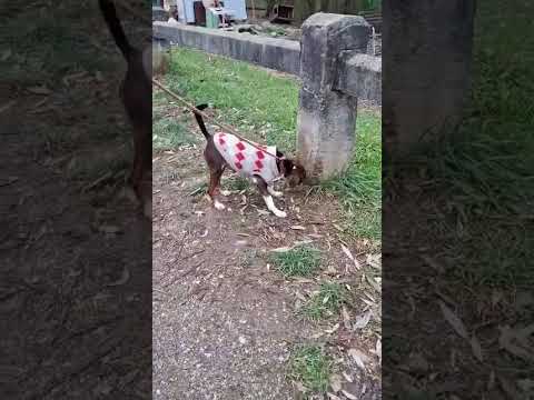 YouTube-Video-Thumbnail