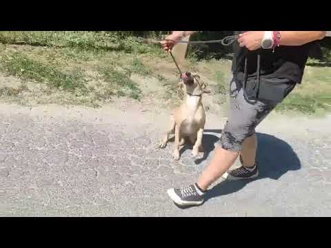 YouTube-Video-Thumbnail