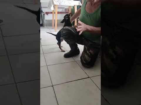 YouTube-Video-Thumbnail