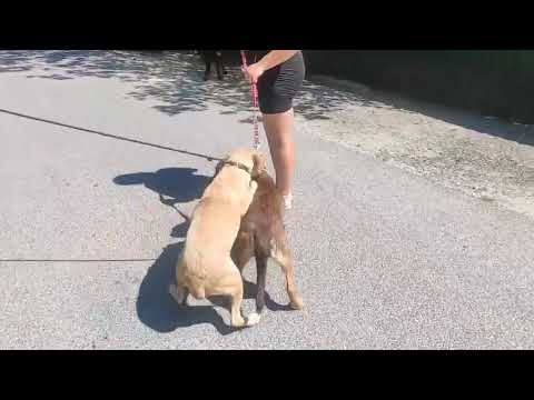 YouTube-Video-Thumbnail