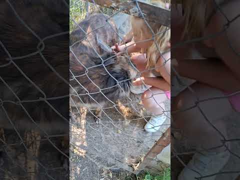 YouTube-Video-Thumbnail