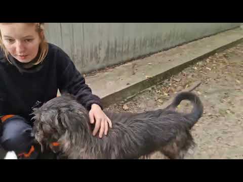 YouTube-Video-Thumbnail