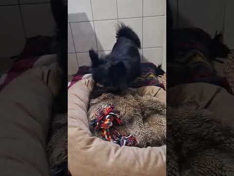 YouTube-Video-Thumbnail