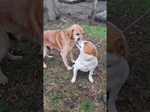 YouTube-Video-Thumbnail