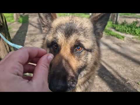 YouTube-Video-Thumbnail