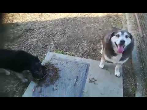 YouTube-Video-Thumbnail