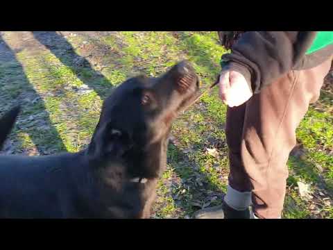 YouTube-Video-Thumbnail