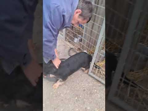 YouTube-Video-Thumbnail