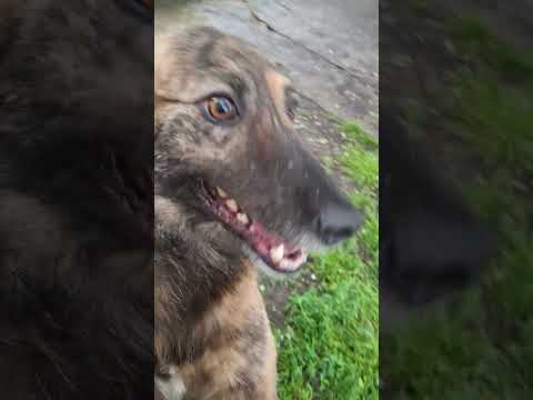 YouTube-Video-Thumbnail