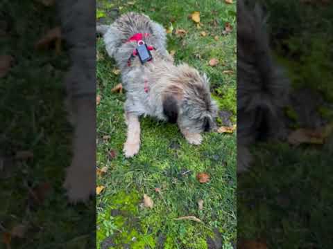 YouTube-Video-Thumbnail