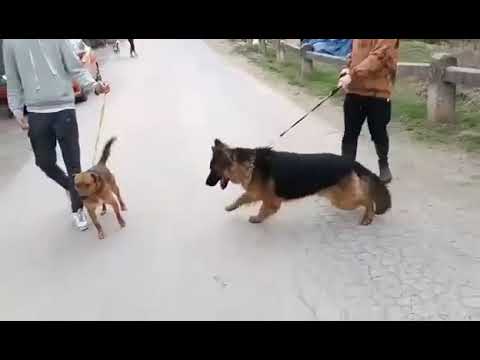 YouTube-Video-Thumbnail