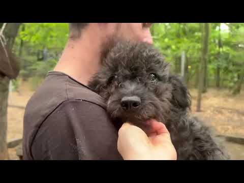 YouTube-Video-Thumbnail