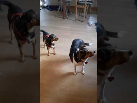 YouTube-Video-Thumbnail