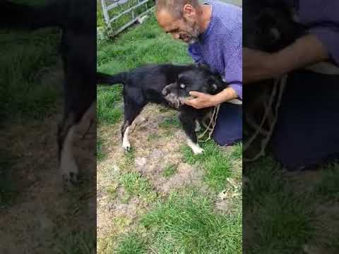 YouTube-Video-Thumbnail