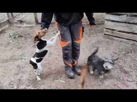 YouTube-Video-Thumbnail