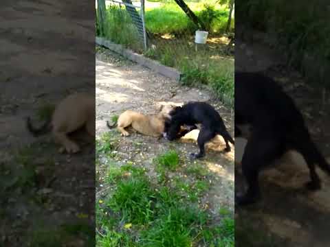 YouTube-Video-Thumbnail