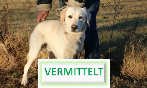 Délceg →Transport 02/2019