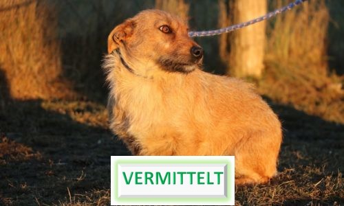 Dori (ehem. Orsi Mama)