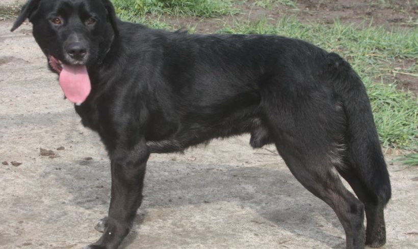 Labino •vermittelt•