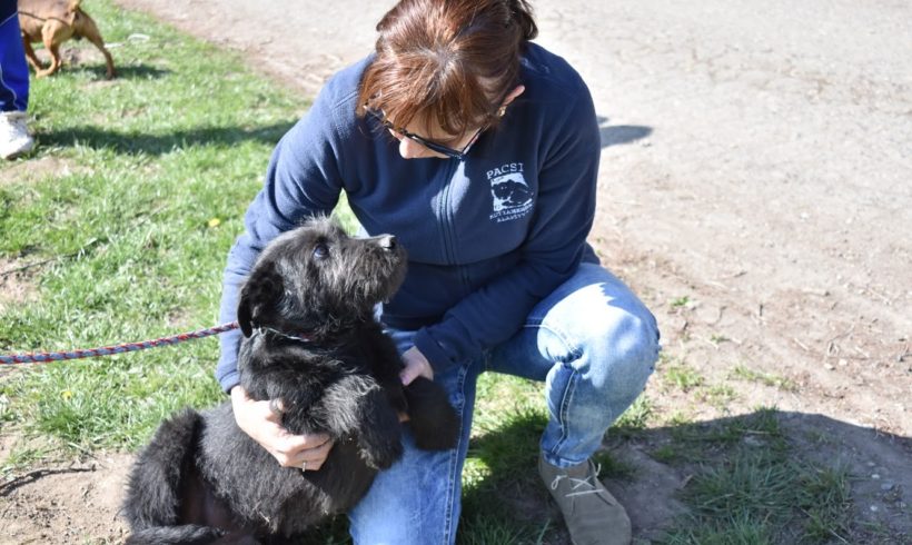 Tyrion ♥vermittelt♥